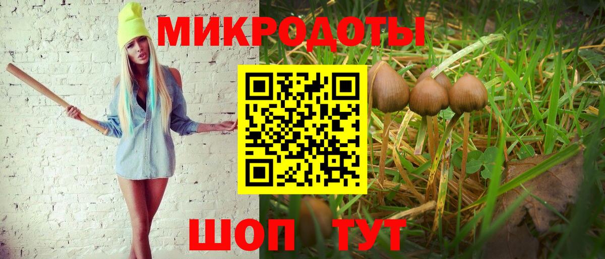 Железногорск  Галлюциногенные грибы ЛСД  Галлюциногенные грибы ЛСД  Вход с VPN 
